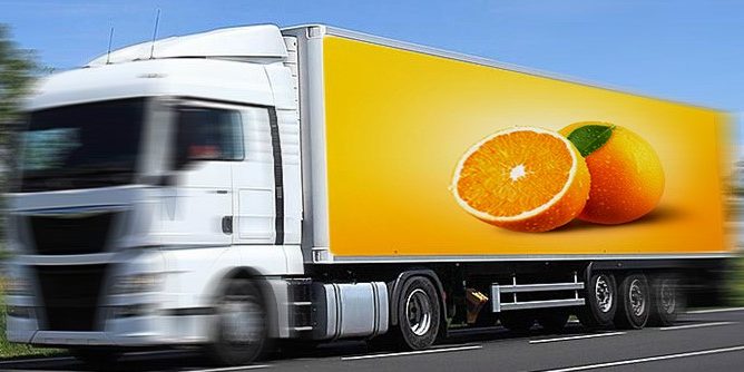 bulgarsitan-kapitan-andreevo-sinir-kapisinda-gida-analizi-islemlerinde-yasanilan-sorun–4